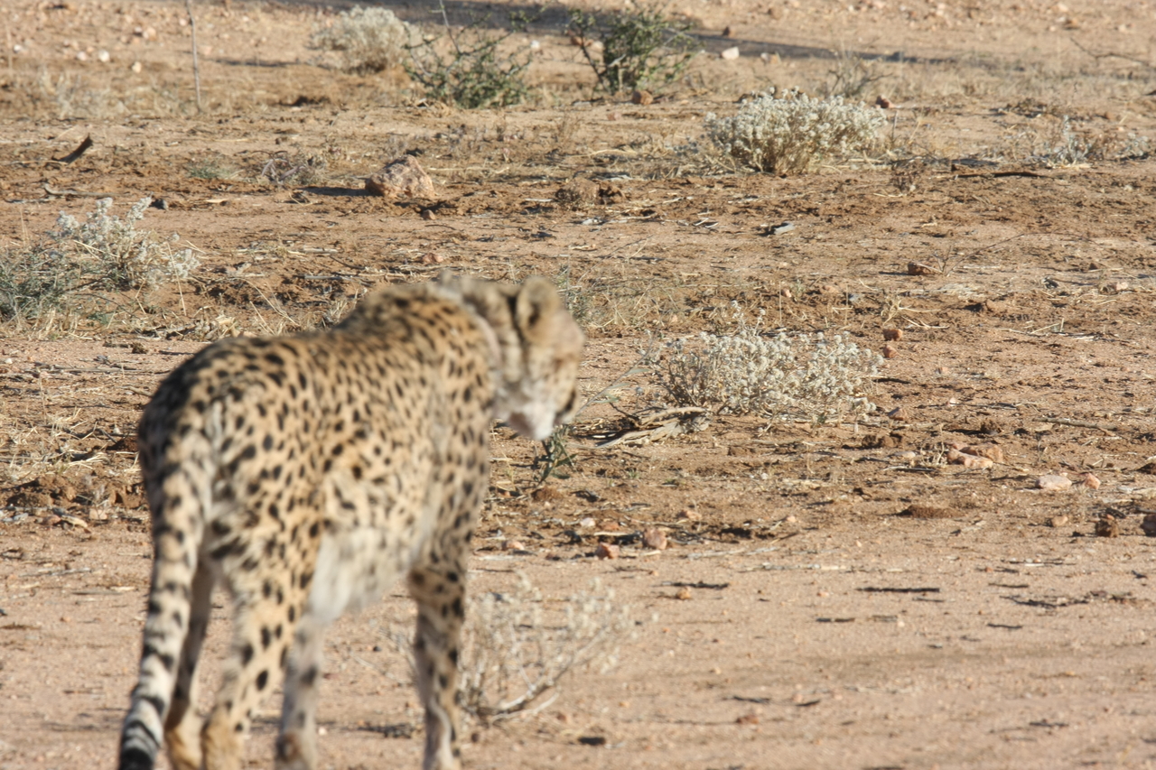 [1063] 2016_06_22_02_51_56_Africa_Canon_EOS_40D_IMG__07637.jpg