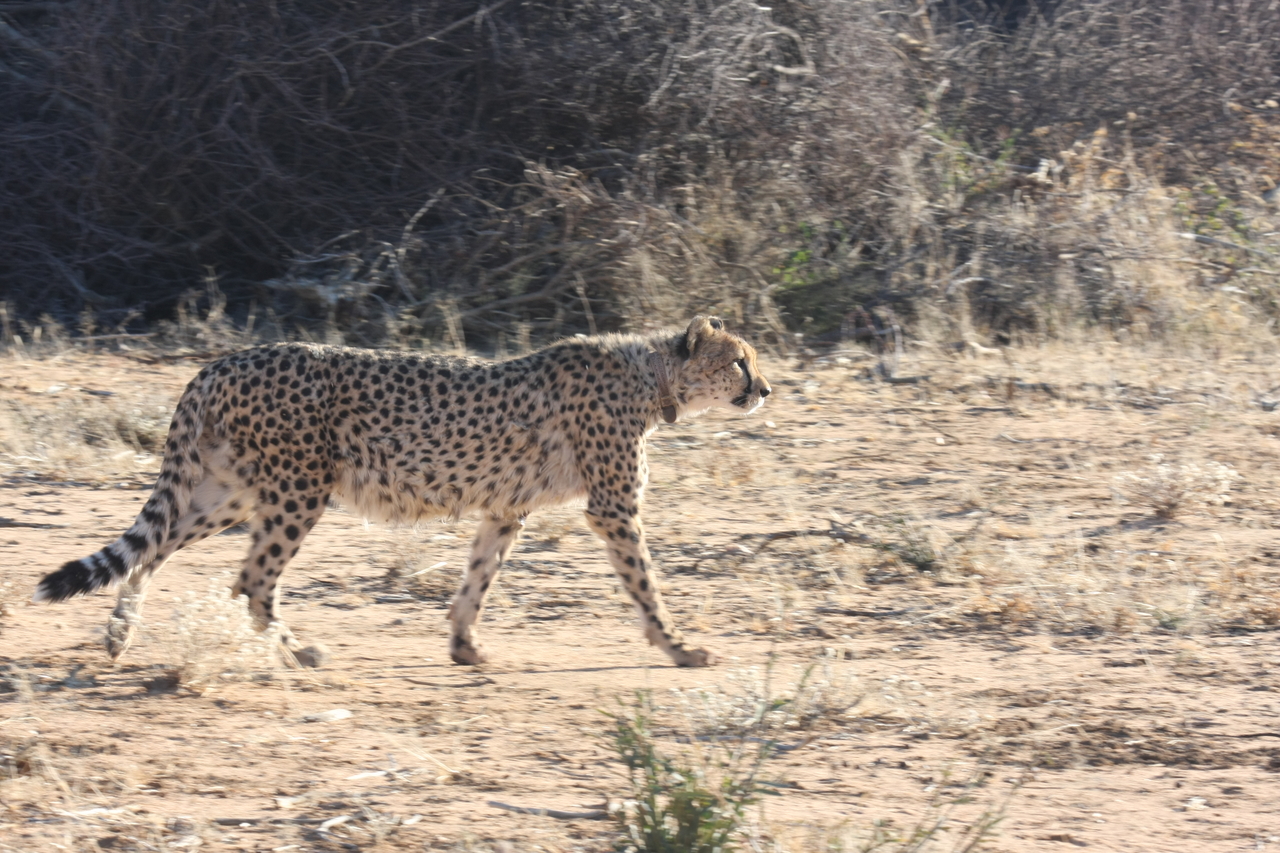 [1228] 2016_06_22_02_56_22_Africa_Canon_EOS_40D_IMG__00235.jpg