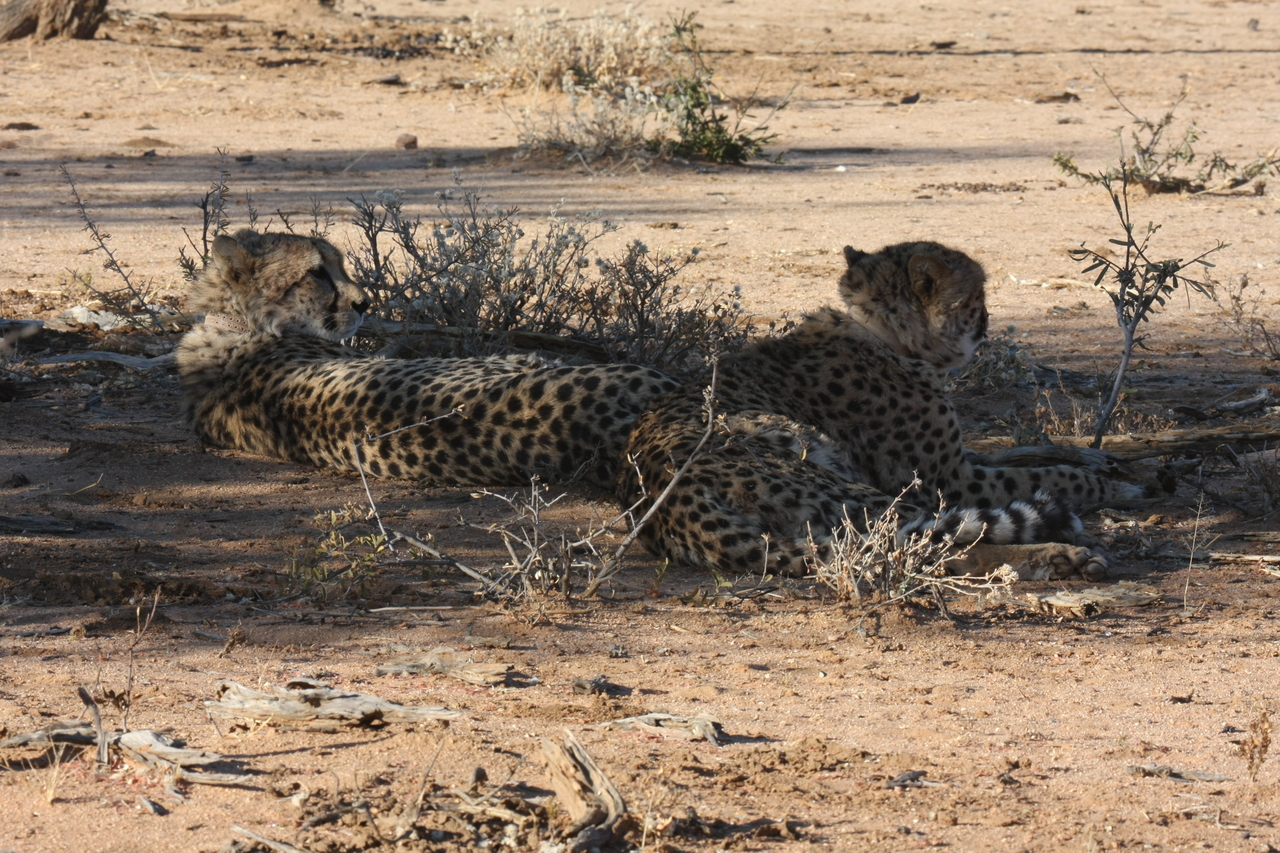 [1245] 2016_06_22_02_59_28_Africa_Canon_EOS_40D_IMG__00221.jpg