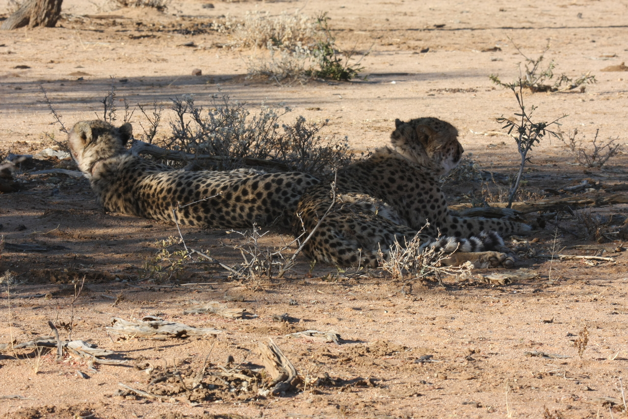 [1264] 2016_06_22_03_00_04_Africa_Canon_EOS_40D_IMG__00228.jpg