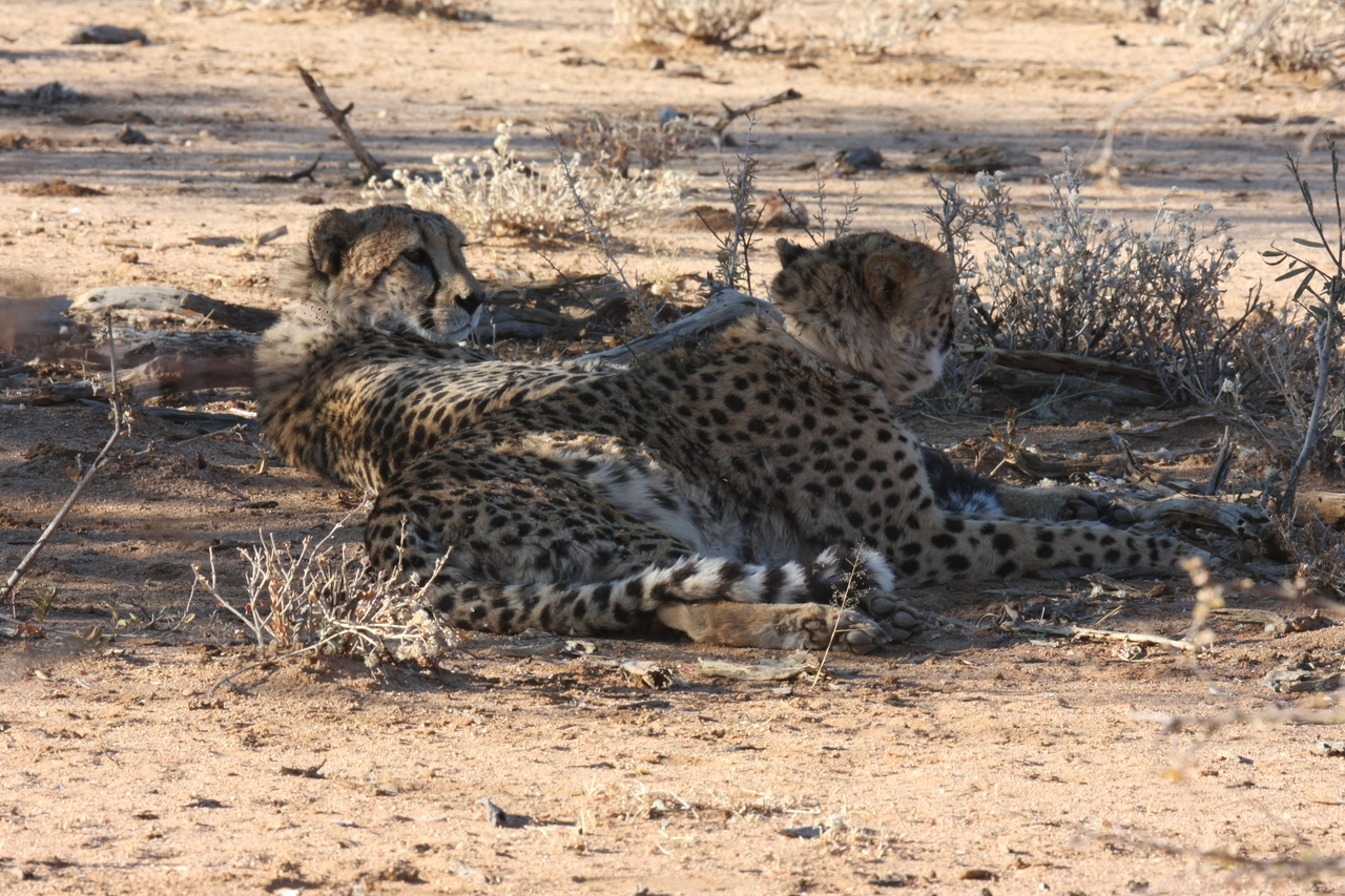 [1277] 2016_06_22_03_00_26_Africa_Canon_EOS_40D_IMG__00250.jpg