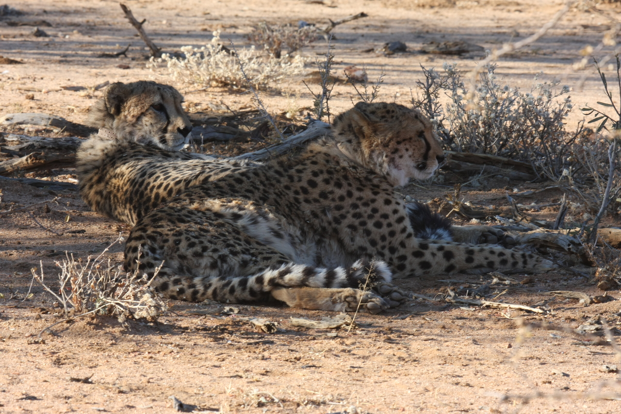 [1282] 2016_06_22_03_00_43_Africa_Canon_EOS_40D_IMG__00251.jpg