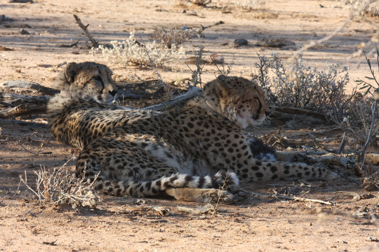 [1286] 2016_06_22_03_00_50_Africa_Canon_EOS_40D_IMG__00234.jpg