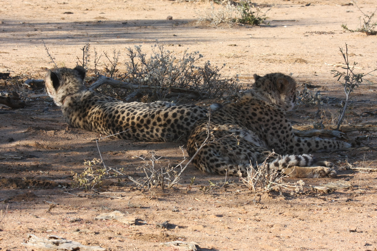 [1311] 2016_06_22_03_01_59_Africa_Canon_EOS_40D_IMG__00259.jpg