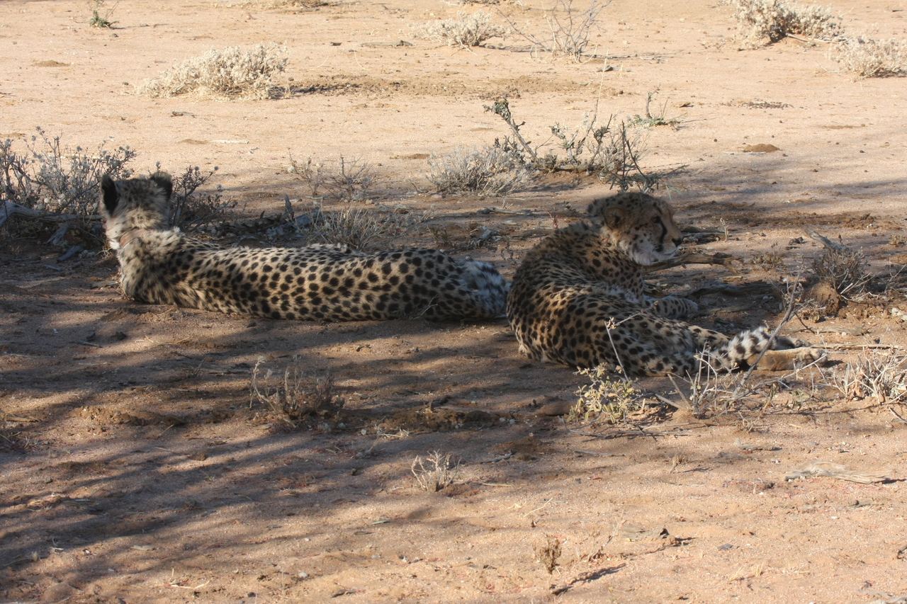 [1343] 2016_06_22_03_03_04_Africa_Canon_EOS_40D_IMG__00251.jpg