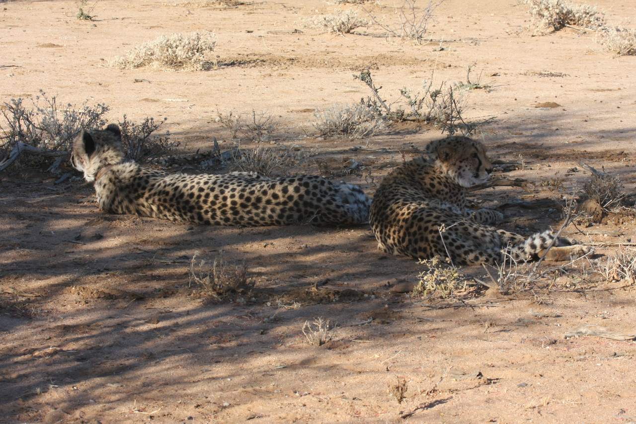 [1347] 2016_06_22_03_03_05_Africa_Canon_EOS_40D_IMG__00271.jpg