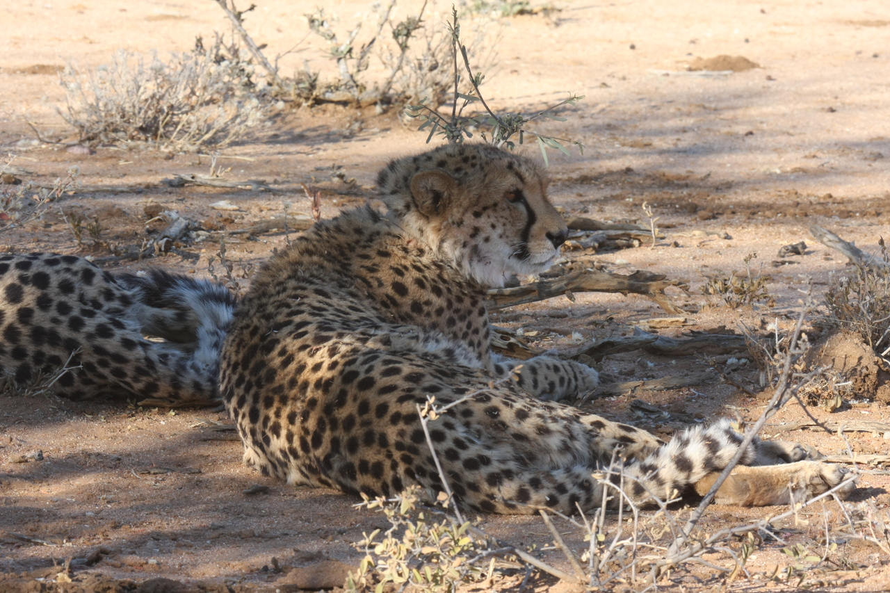 [1349] 2016_06_22_03_03_22_Africa_Canon_EOS_40D_IMG__00253.jpg