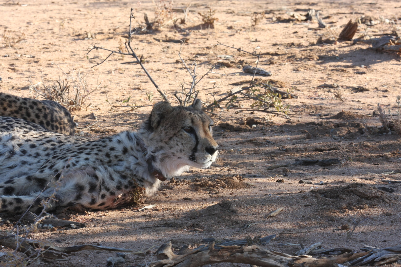 [1398] 2016_06_22_03_05_13_Africa_Canon_EOS_40D_IMG__07734.jpg