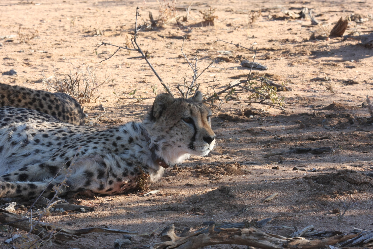 [1399] 2016_06_22_03_05_13_Africa_Canon_EOS_40D_IMG__07735.jpg