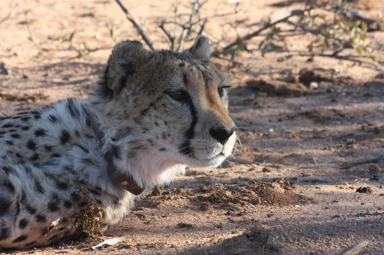 [1400] 2016_06_22_03_05_20_Africa_Canon_EOS_40D_IMG__00270.jpg