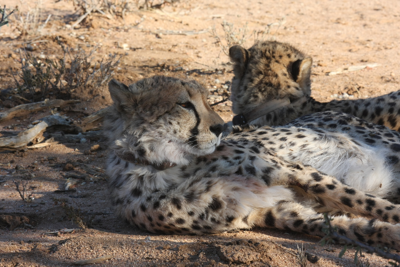 [1514] 2016_06_22_03_11_33_Africa_Canon_EOS_40D_IMG__00325.jpg