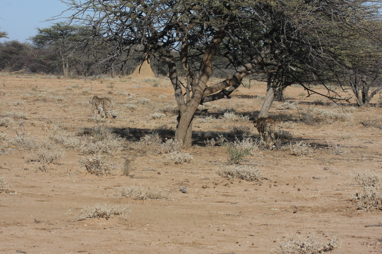 [1635] 2016_06_22_03_14_02_Africa_Canon_EOS_40D_IMG__00361.jpg