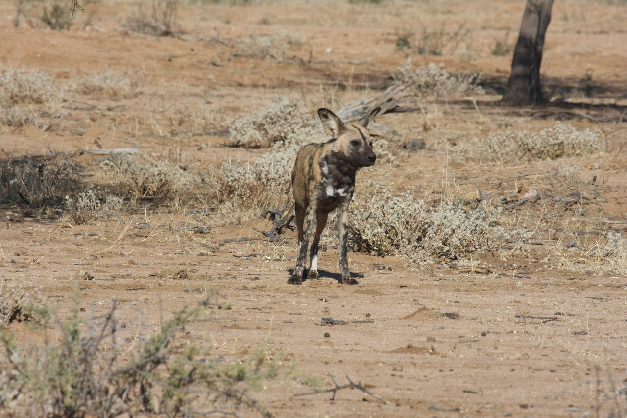 [1691] 2016_06_22_03_19_48_Africa_Canon_EOS_40D_IMG__07823.jpg