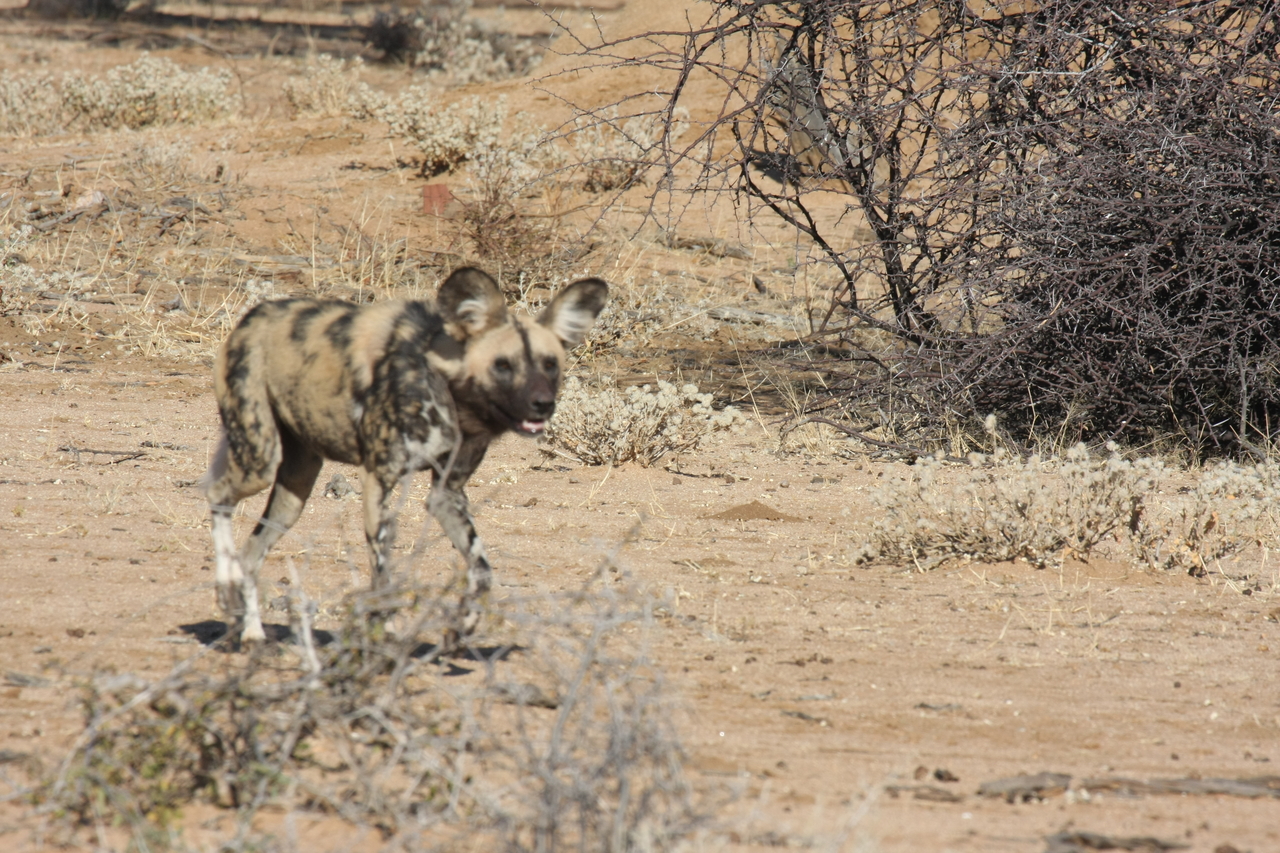 [1734] 2016_06_22_03_20_14_Africa_Canon_EOS_40D_IMG__00391.jpg