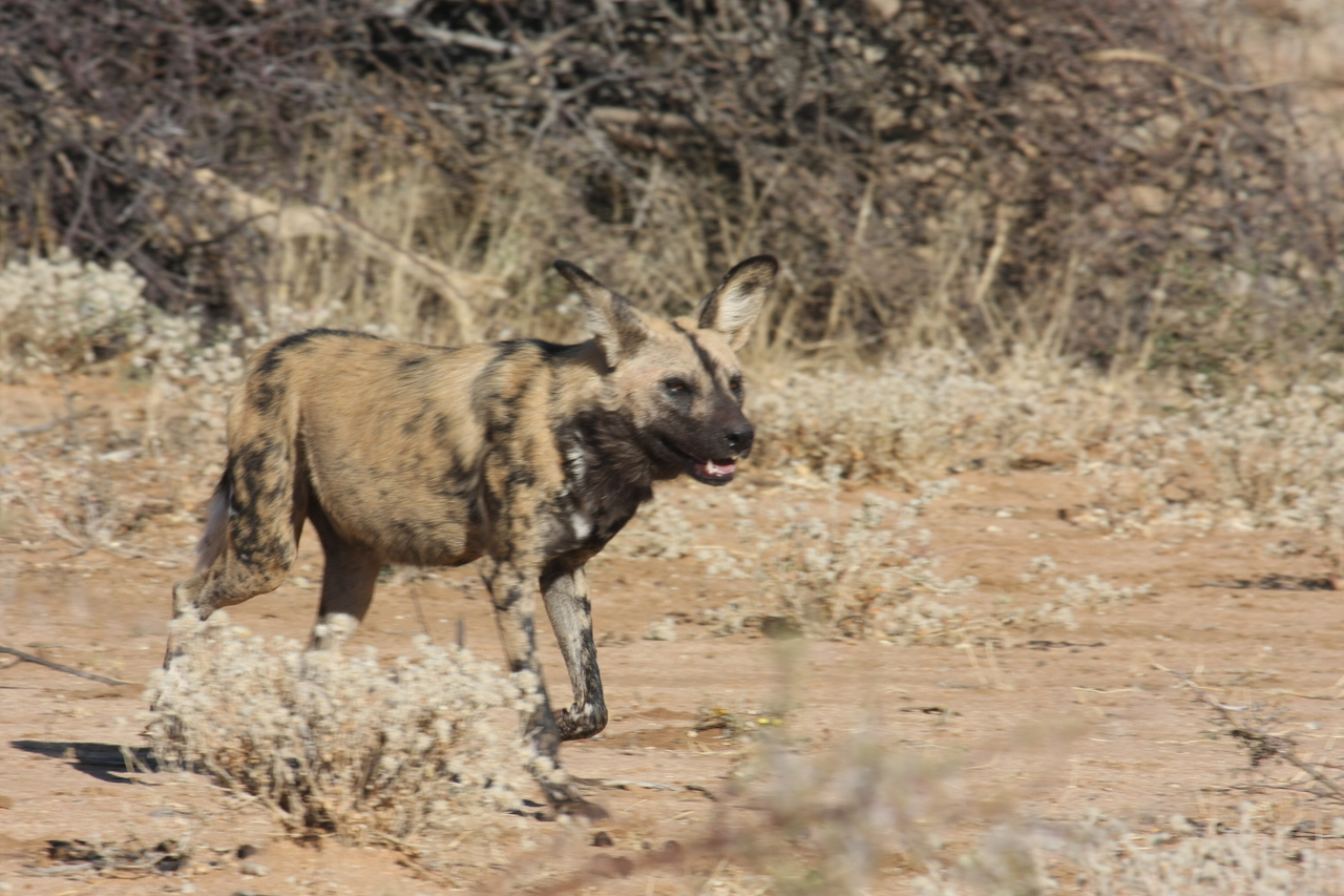 [1753] 2016_06_22_03_20_23_Africa_Canon_EOS_40D_IMG__07843.jpg