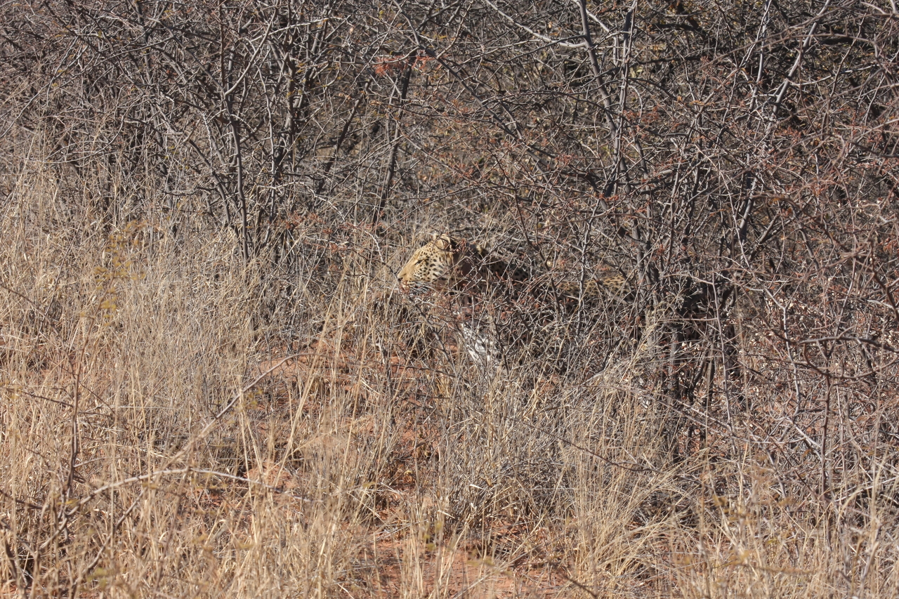 [1927] 2016_06_22_03_56_00_Africa_Canon_EOS_40D_IMG__00429.jpg