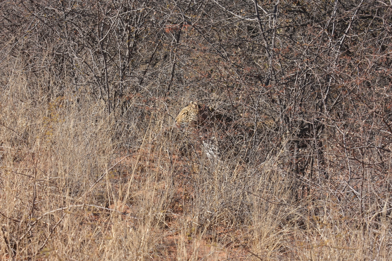 [1934] 2016_06_22_03_56_01_Africa_Canon_EOS_40D_IMG__07896.jpg