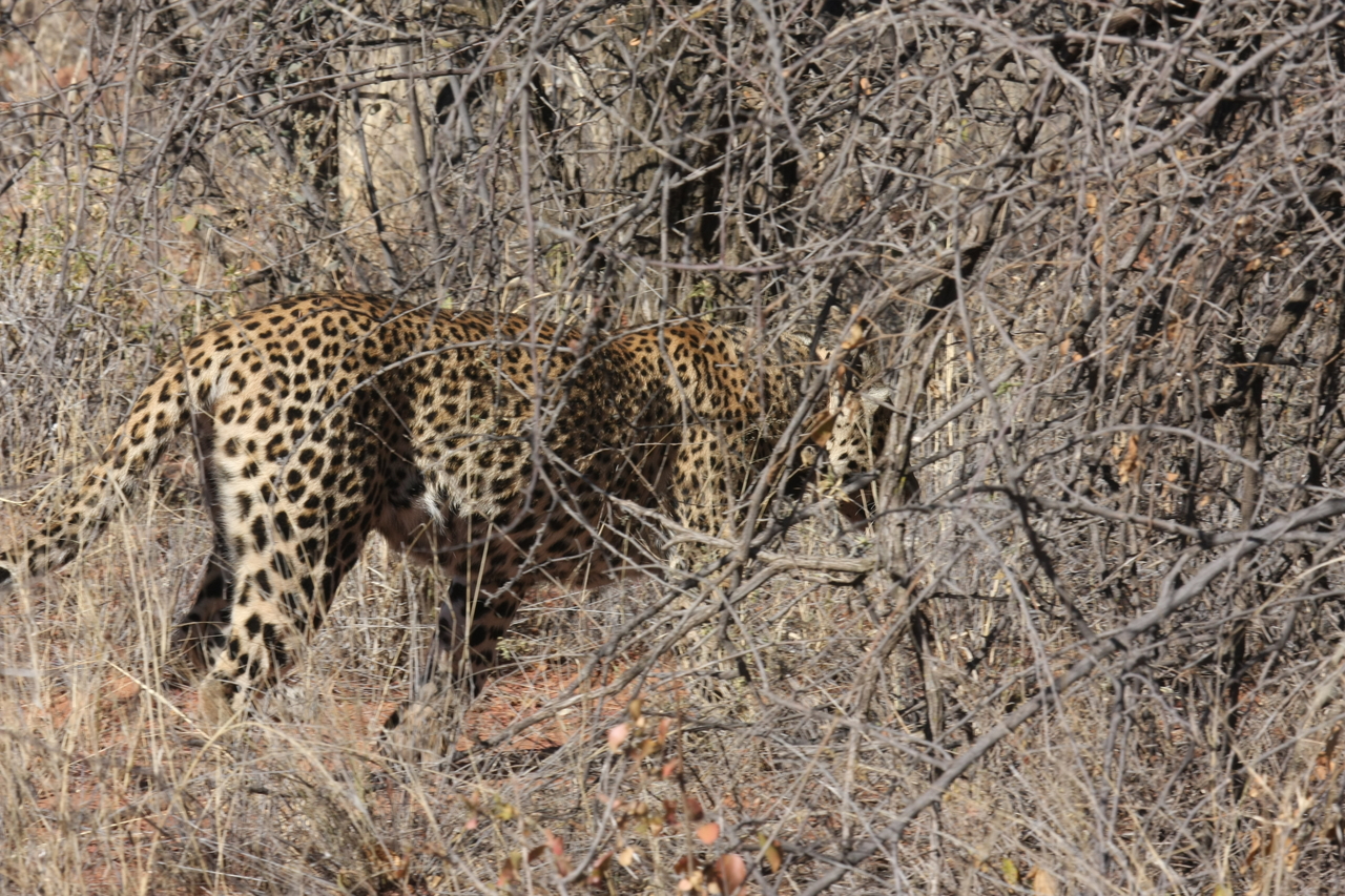 [1964] 2016_06_22_03_56_34_Africa_Canon_EOS_40D_IMG__07906.jpg