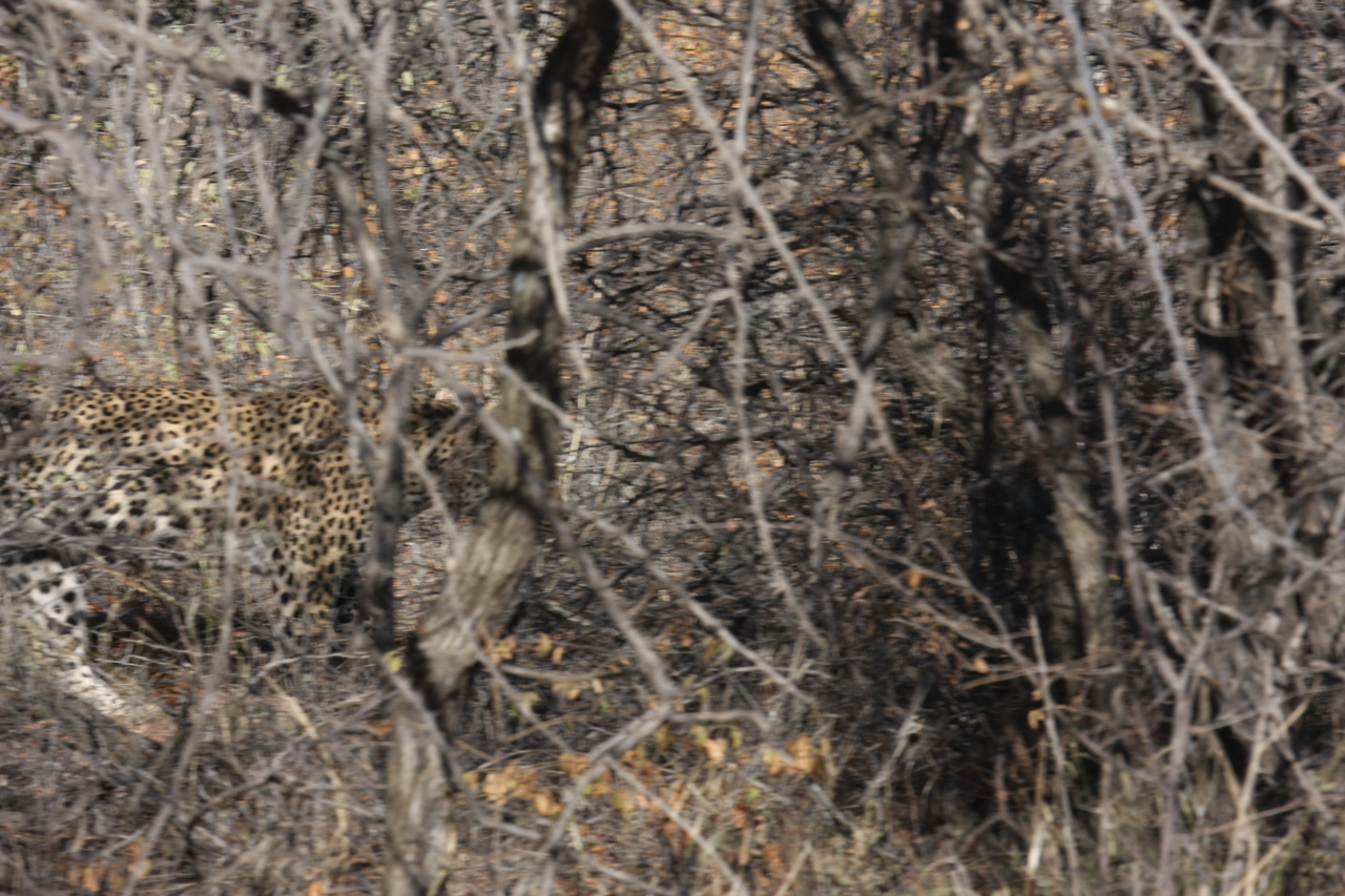 [1973] 2016_06_22_03_56_53_Africa_Canon_EOS_40D_IMG__07909.jpg