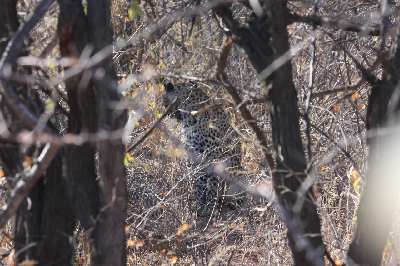 [1980] 2016_06_22_04_05_09_Africa_Canon_EOS_40D_IMG__00464.jpg