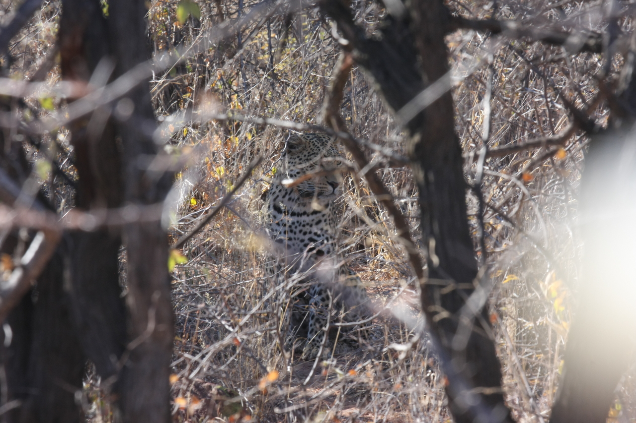 [2015] 2016_06_22_04_05_28_Africa_Canon_EOS_40D_IMG__00477.jpg