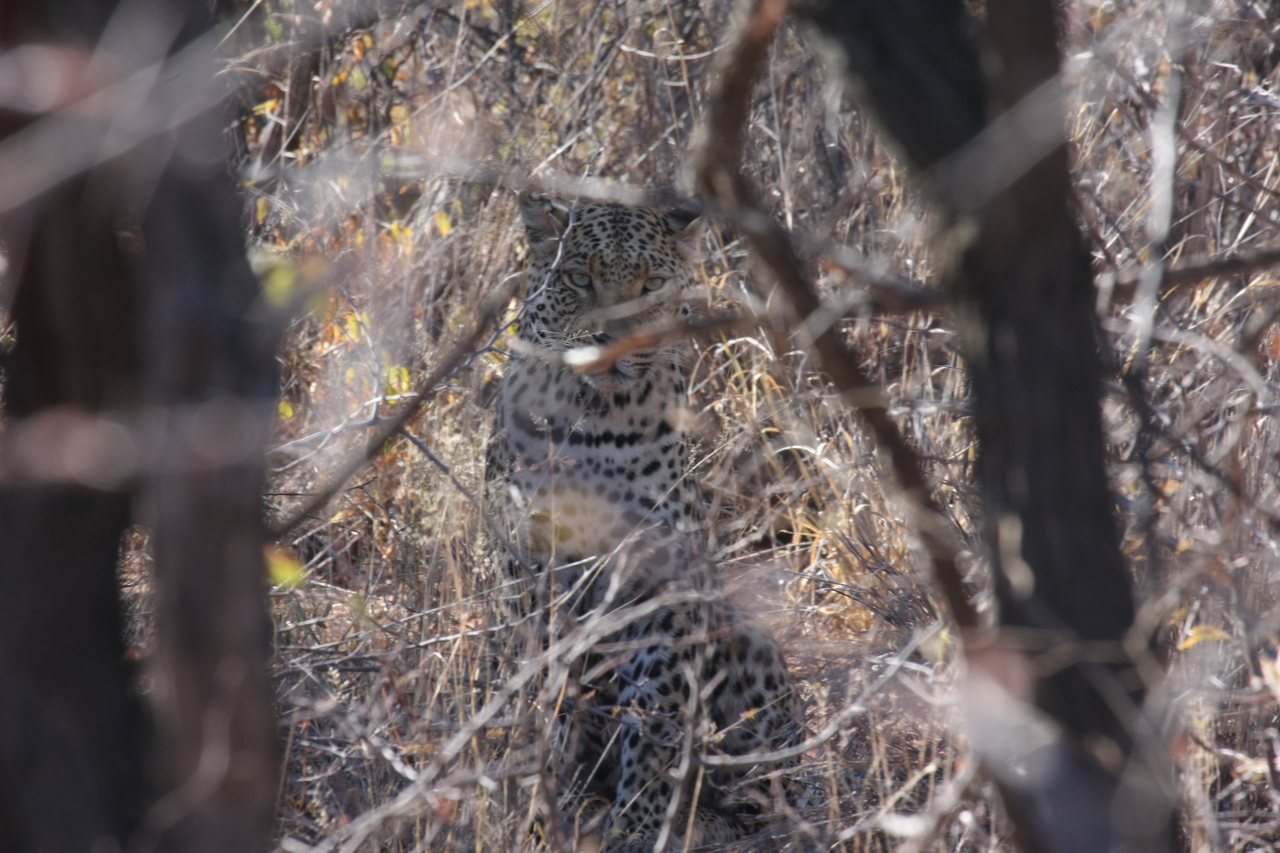 [2041] 2016_06_22_04_05_47_Africa_Canon_EOS_40D_IMG__00467.jpg