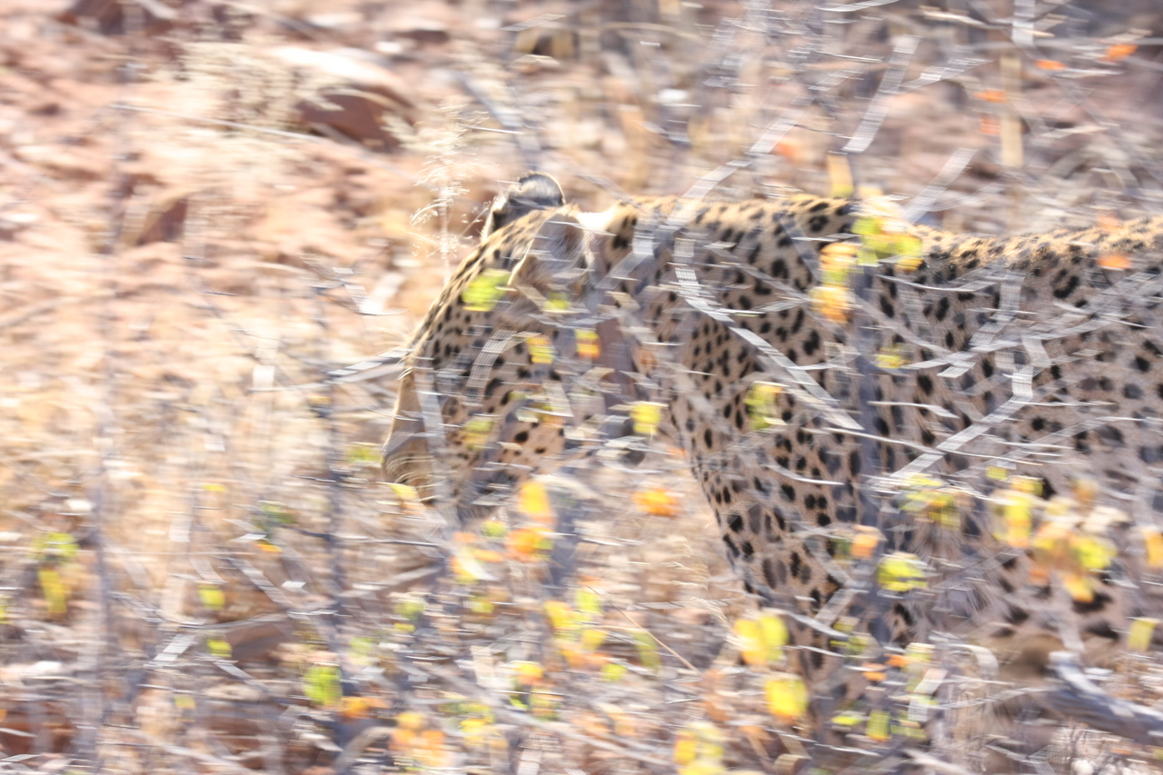 [2112] 2016_06_22_04_07_15_Africa_Canon_EOS_40D_IMG__07954.jpg