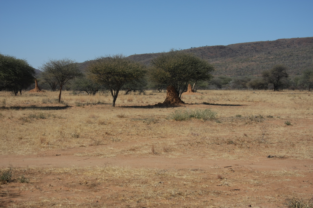 [2282] 2016_06_22_07_39_47_Africa_Canon_EOS_40D_IMG__00534.jpg