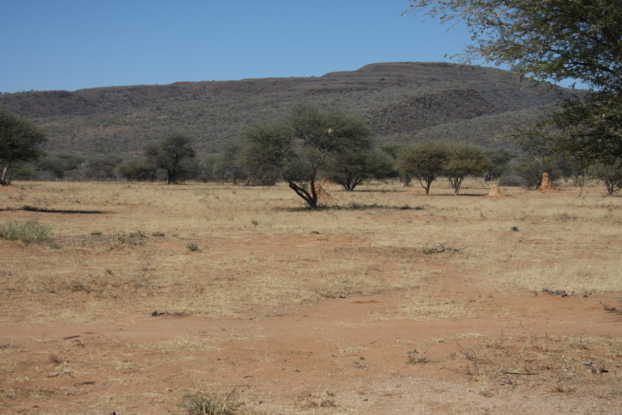 [2285] 2016_06_22_07_39_54_Africa_Canon_EOS_40D_IMG__00535.jpg