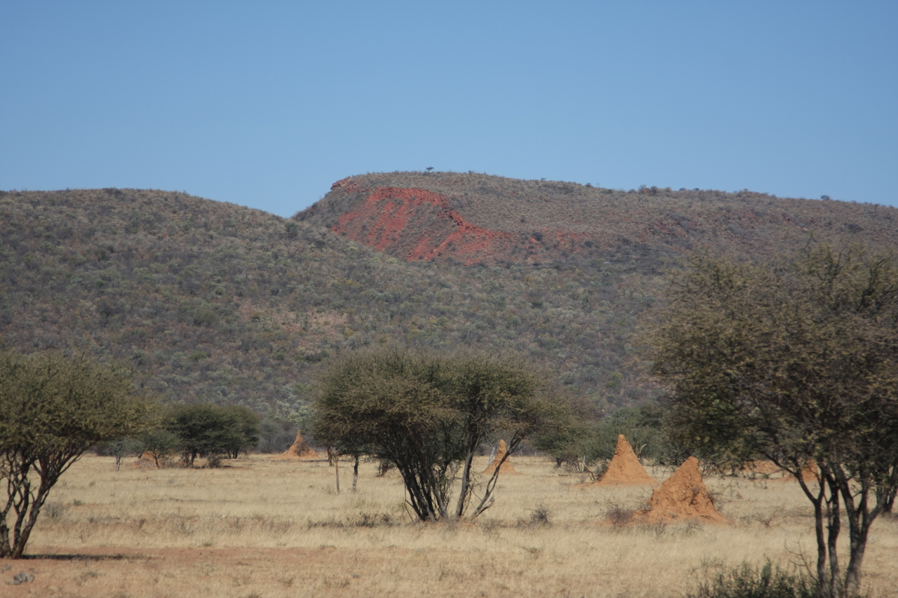 [2289] 2016_06_22_07_41_05_Africa_Canon_EOS_40D_IMG__07983.jpg