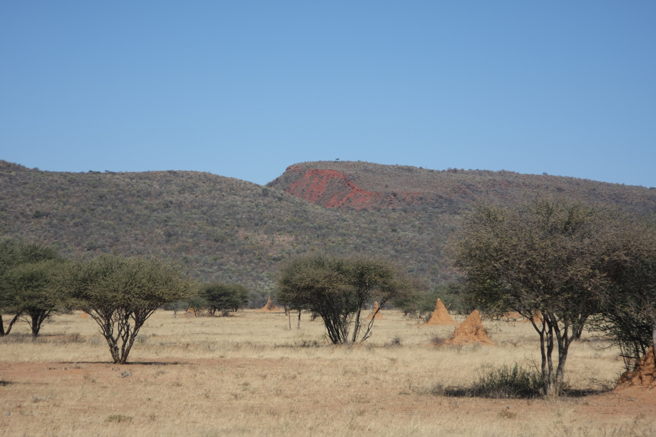 [2292] 2016_06_22_07_41_11_Africa_Canon_EOS_40D_IMG__00537.jpg