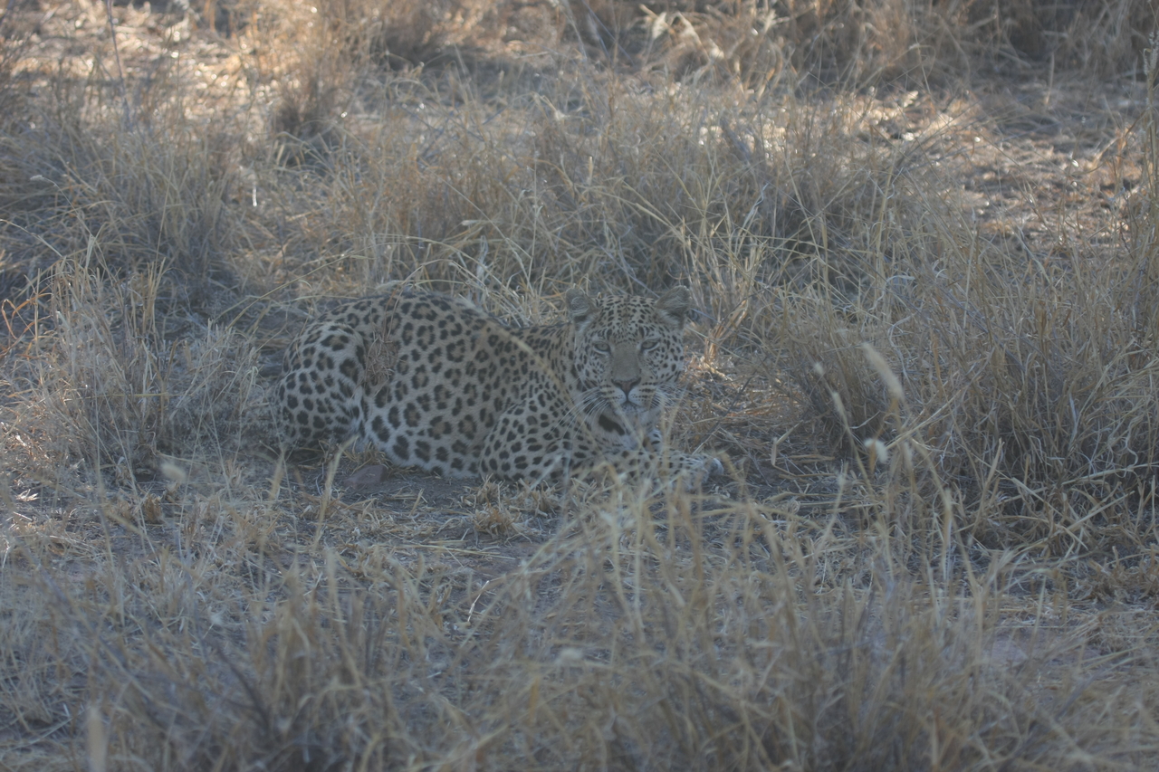 [2576] 2016_06_22_10_58_28_Africa_Canon_EOS_40D_IMG__07998.jpg