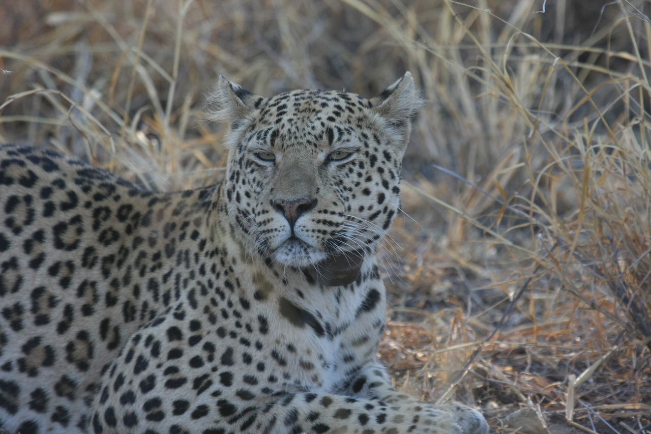 [2710] 2016_06_22_11_02_09_Africa_Canon_EOS_40D_IMG__00592.jpg