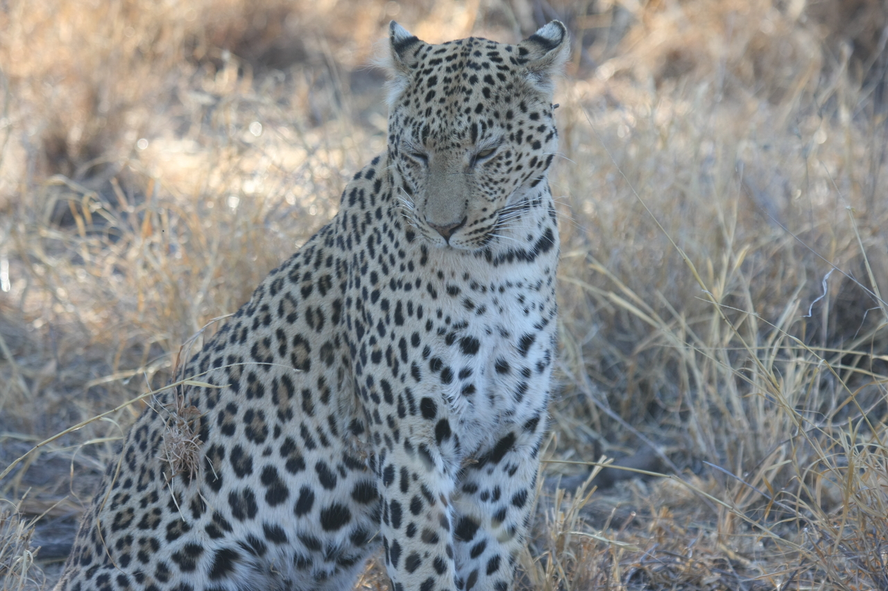 [2739] 2016_06_22_11_02_22_Africa_Canon_EOS_40D_IMG__08049.jpg