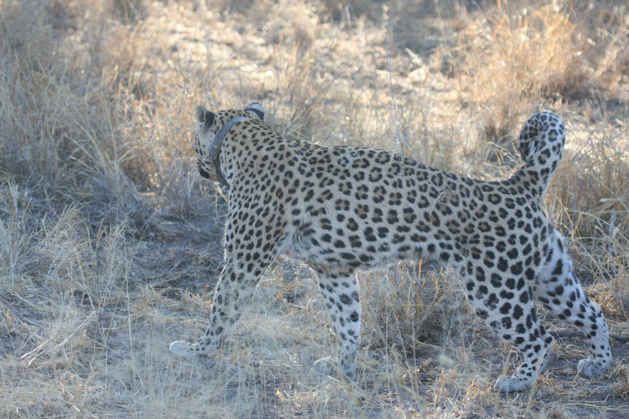 [2781] 2016_06_22_11_02_45_Africa_Canon_EOS_40D_IMG__00615.jpg