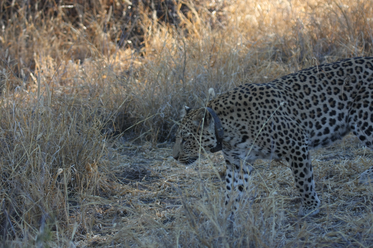 [2808] 2016_06_22_11_02_55_Africa_Canon_EOS_40D_IMG__08070.jpg