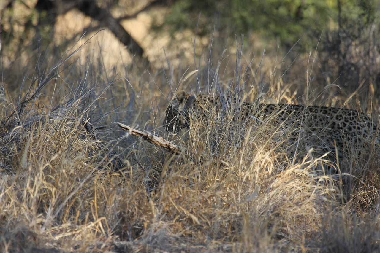 [2887] 2016_06_22_11_04_23_Africa_Canon_EOS_40D_IMG__00631.jpg