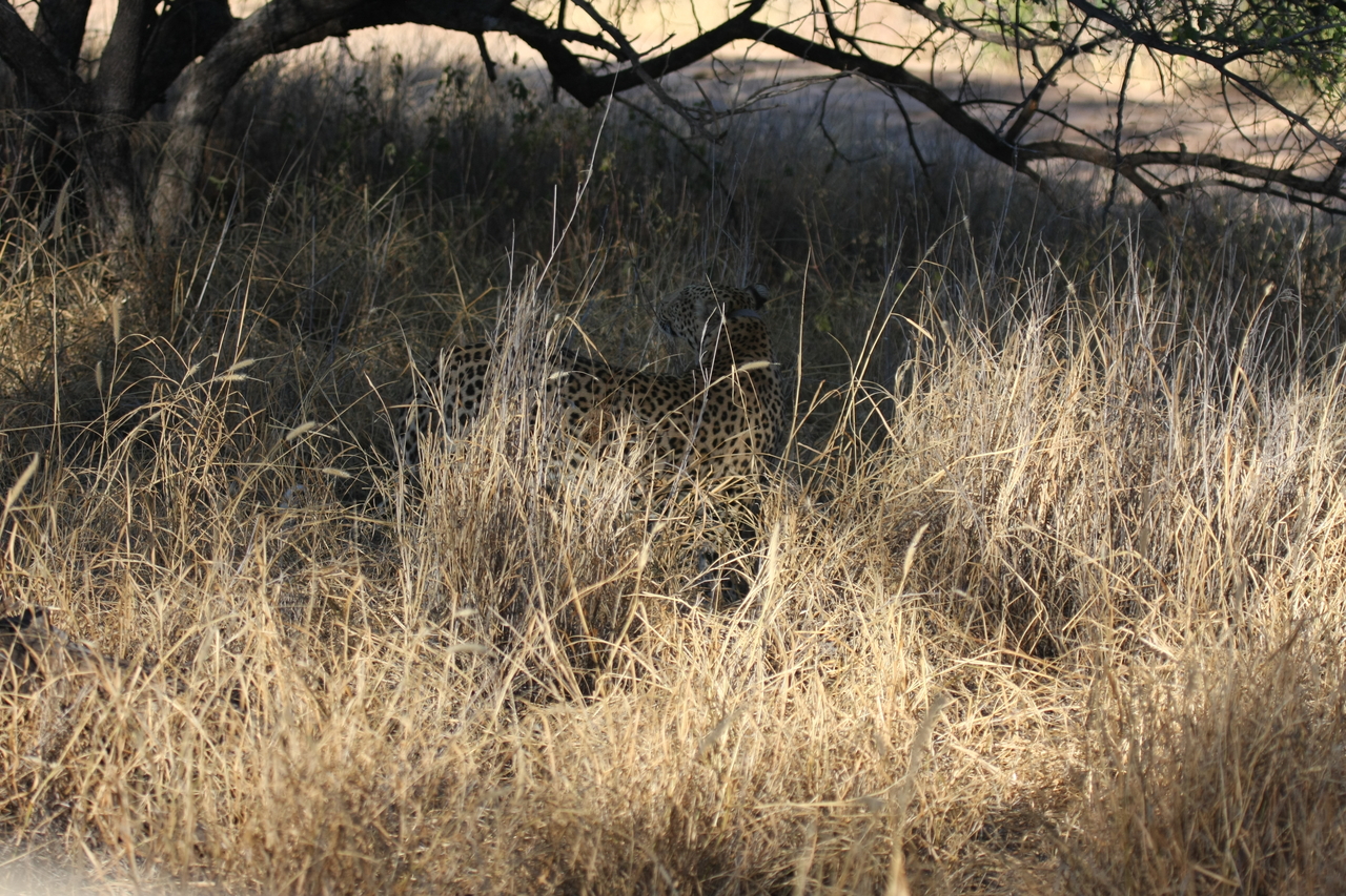 [2894] 2016_06_22_11_05_51_Africa_Canon_EOS_40D_IMG__00652.jpg