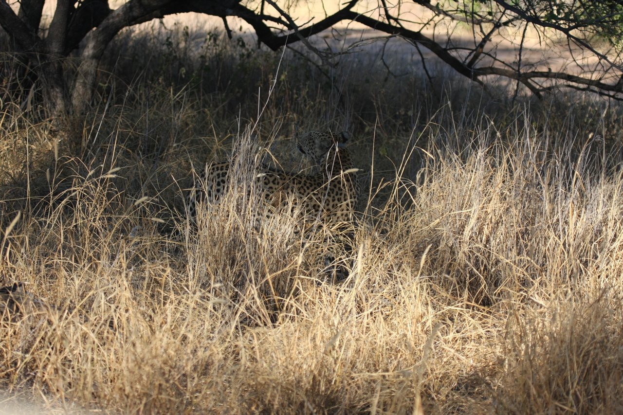 [2898] 2016_06_22_11_05_51_Africa_Canon_EOS_40D_IMG__08100.jpg