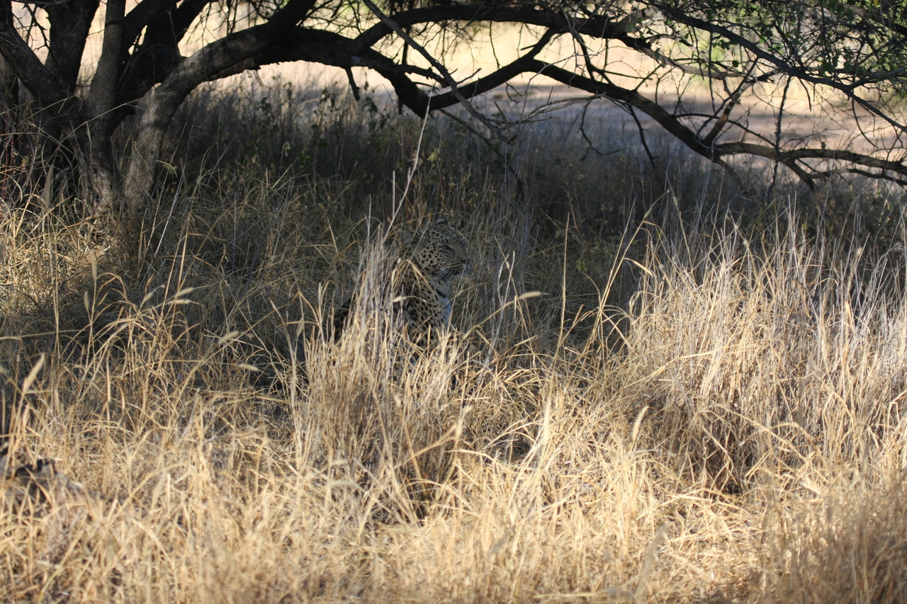 [2902] 2016_06_22_11_06_17_Africa_Canon_EOS_40D_IMG__00636.jpg