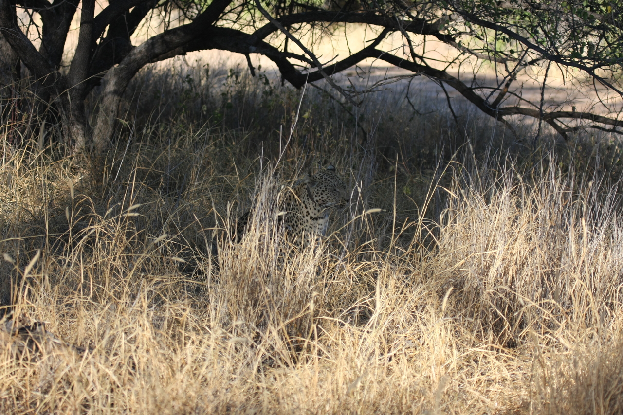 [2905] 2016_06_22_11_06_18_Africa_Canon_EOS_40D_IMG__00637.jpg