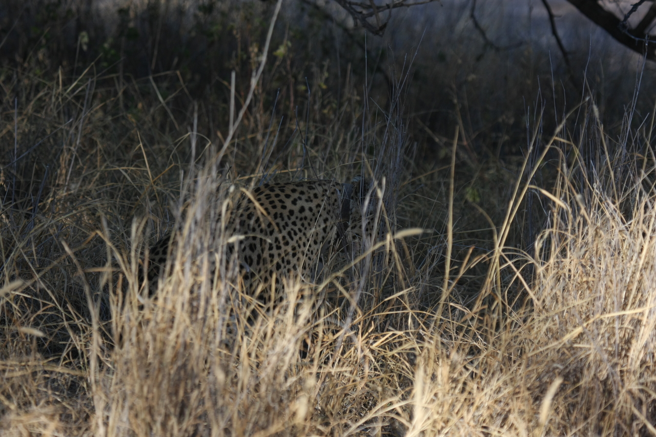 [2909] 2016_06_22_11_06_22_Africa_Canon_EOS_40D_IMG__00657.jpg