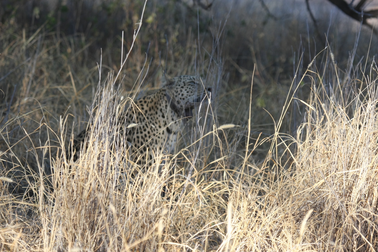 [2914] 2016_06_22_11_06_25_Africa_Canon_EOS_40D_IMG__00658.jpg