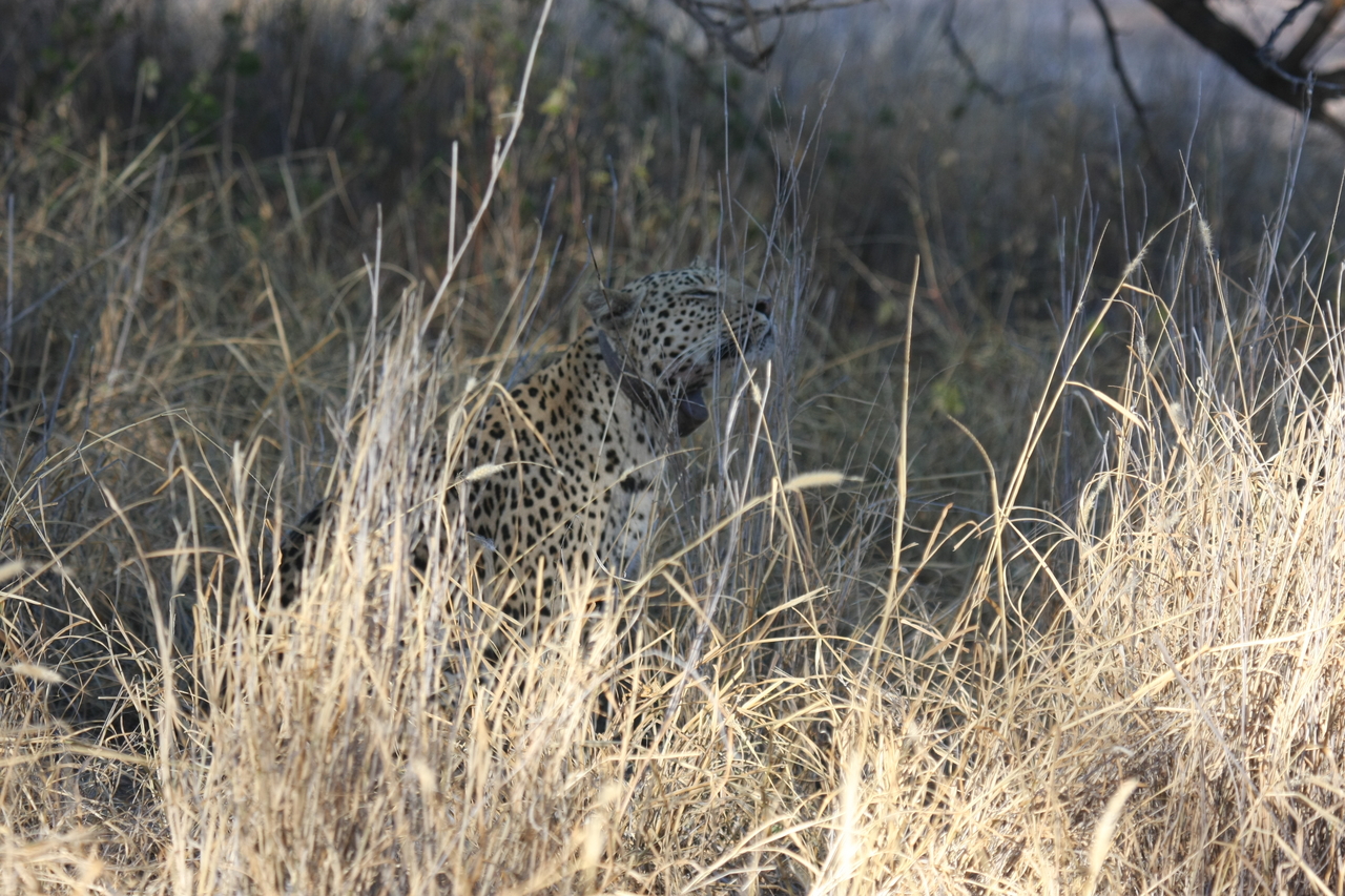 [2916] 2016_06_22_11_06_25_Africa_Canon_EOS_40D_IMG__00660.jpg