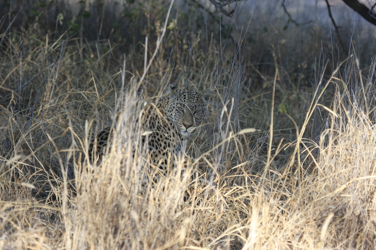 [2921] 2016_06_22_11_06_26_Africa_Canon_EOS_40D_IMG__00643.jpg