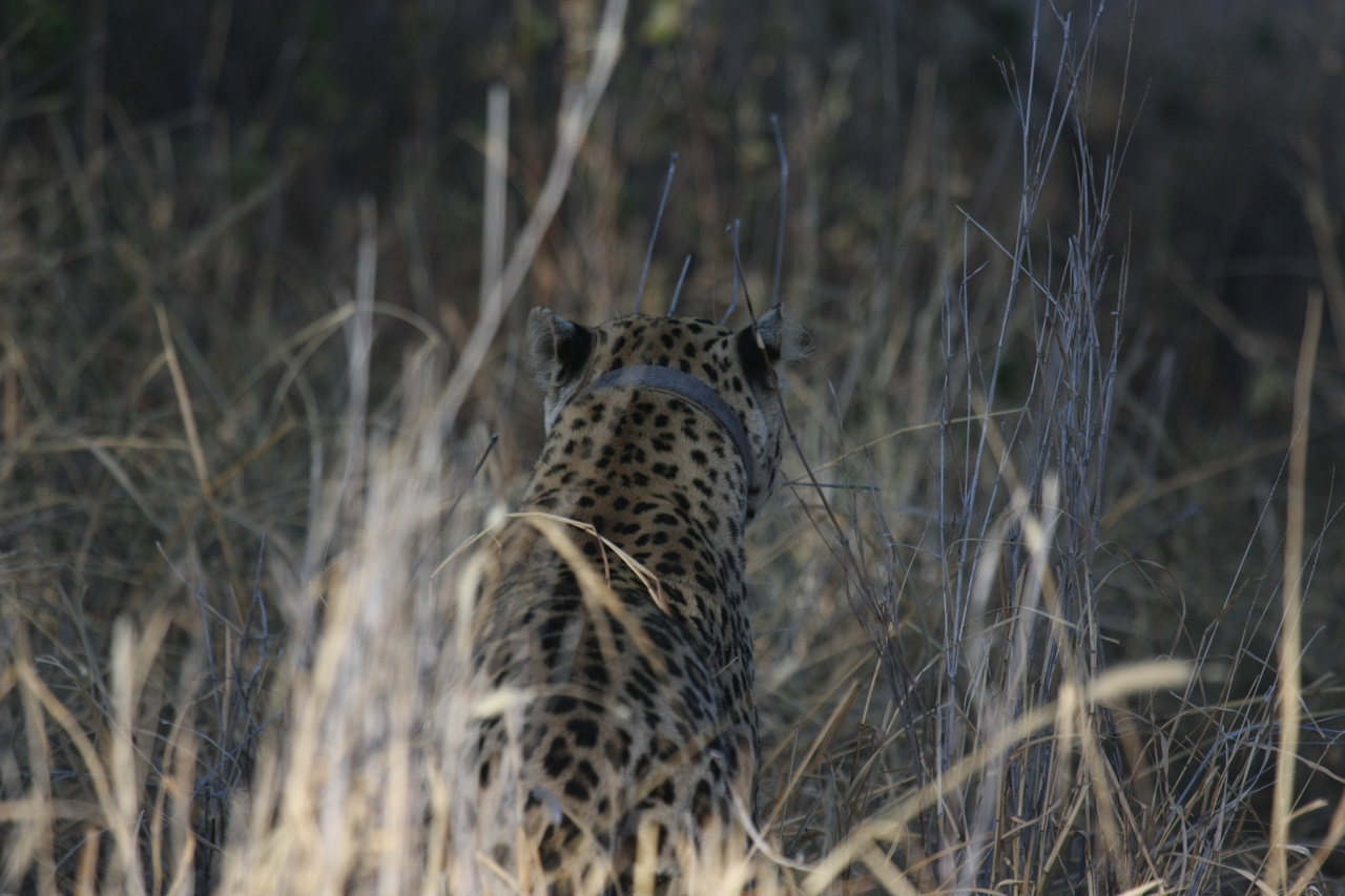 [2938] 2016_06_22_11_06_45_Africa_Canon_EOS_40D_IMG__00648.jpg