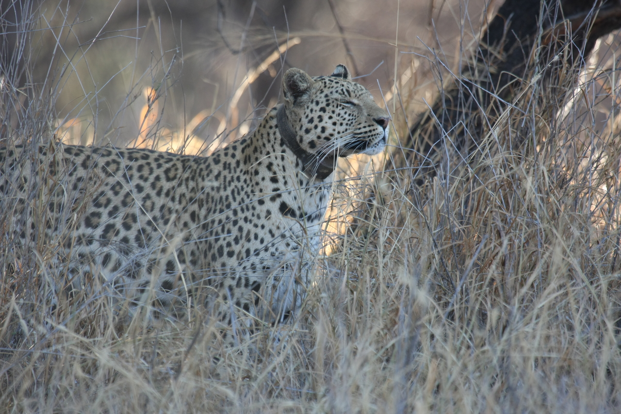 [2976] 2016_06_22_11_11_25_Africa_Canon_EOS_40D_IMG__00658.jpg