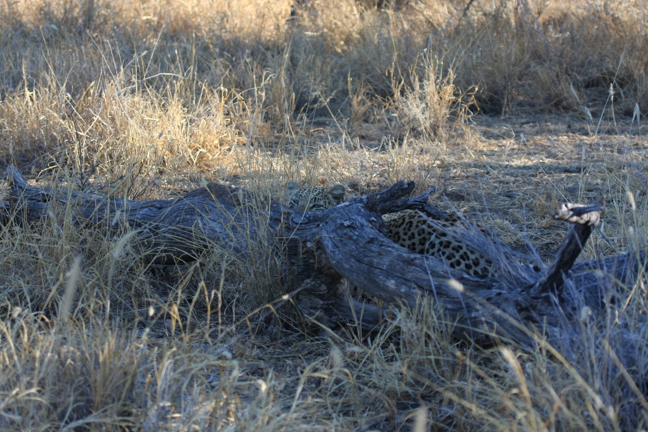 [3031] 2016_06_22_11_18_52_Africa_Canon_EOS_40D_IMG__08139.jpg