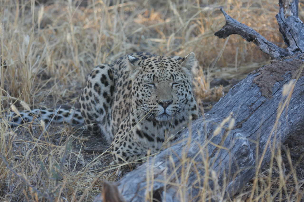 [3047] 2016_06_22_11_22_23_Africa_Canon_EOS_40D_IMG__00697.jpg