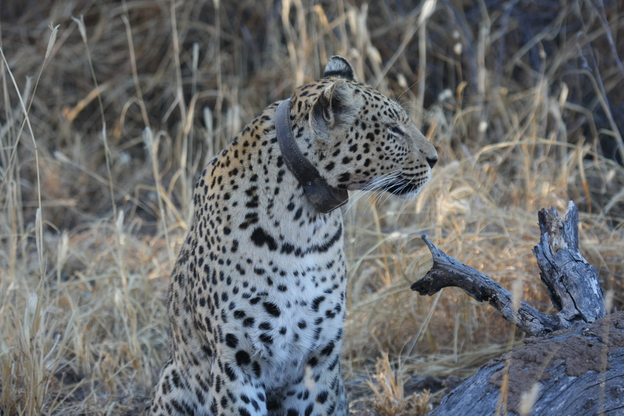 [3101] 2016_06_22_11_22_44_Africa_Canon_EOS_40D_IMG__08161.jpg